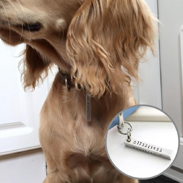 Square Peg Pet Name Tag