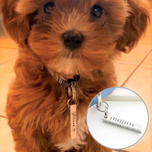 Square Peg Pet Name Tag