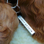 Square Peg Pet Name Tag